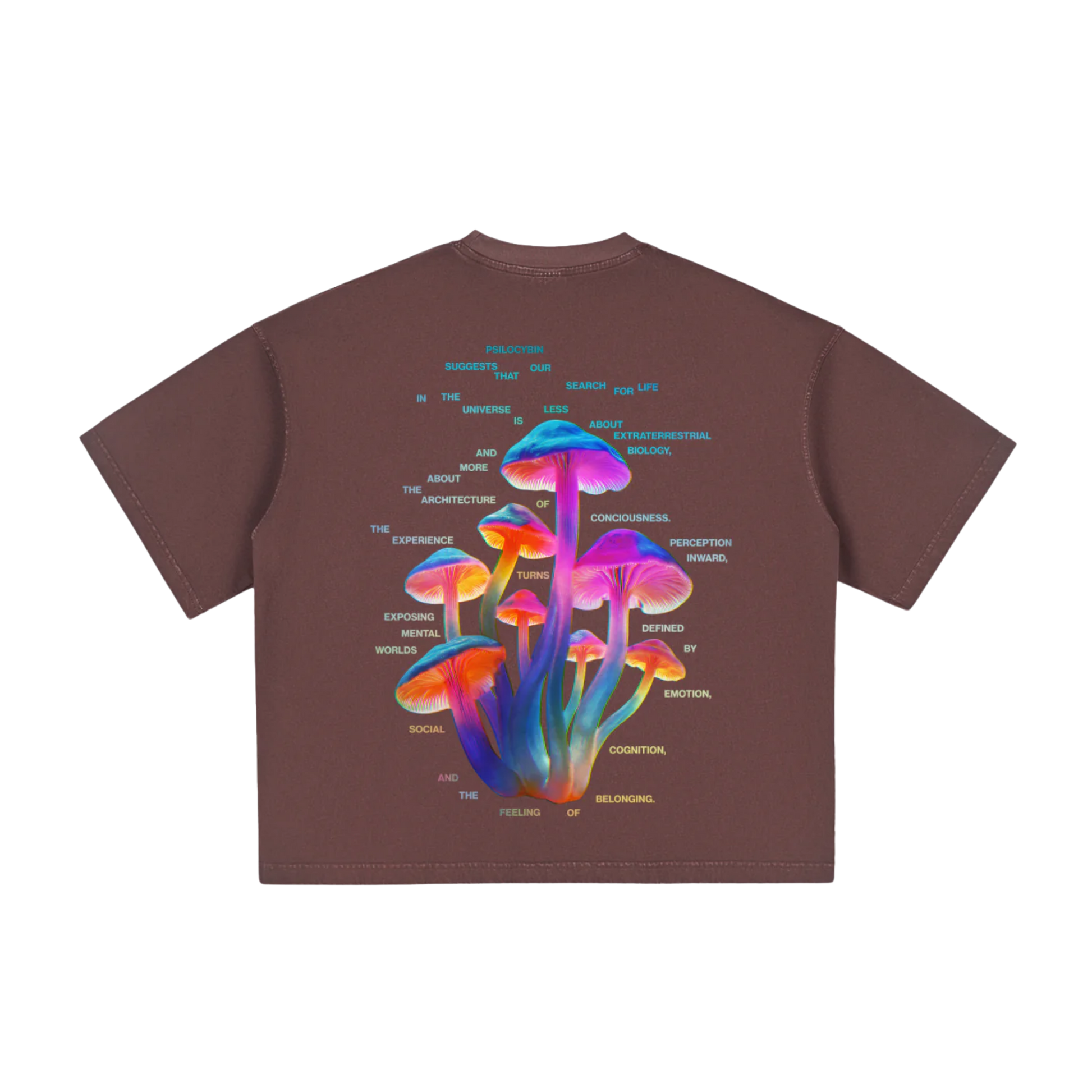 Psilocybine | T-shirt Boxy Vintage Délavé