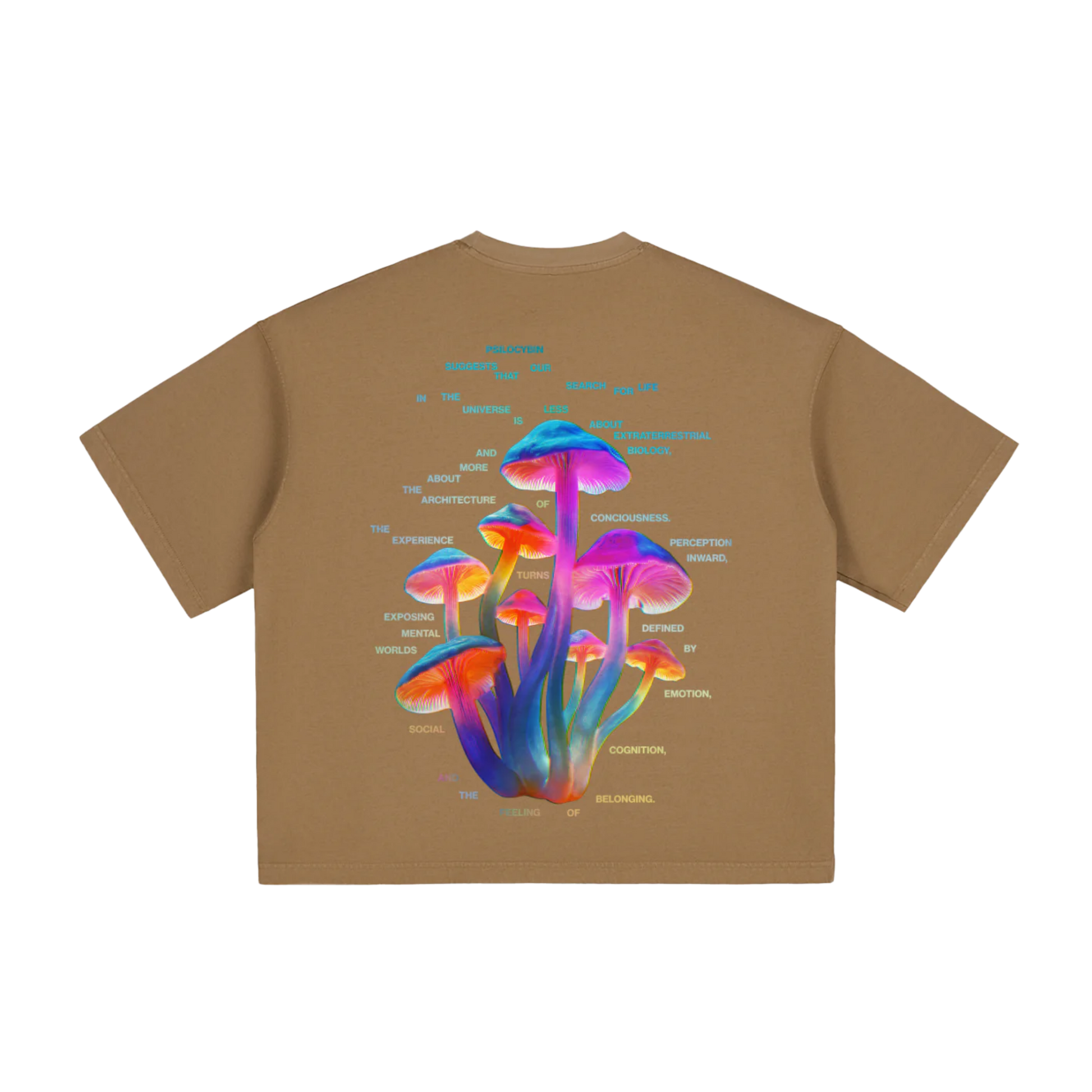 Psilocybin | Vintage Washed Boxy T-Shirt