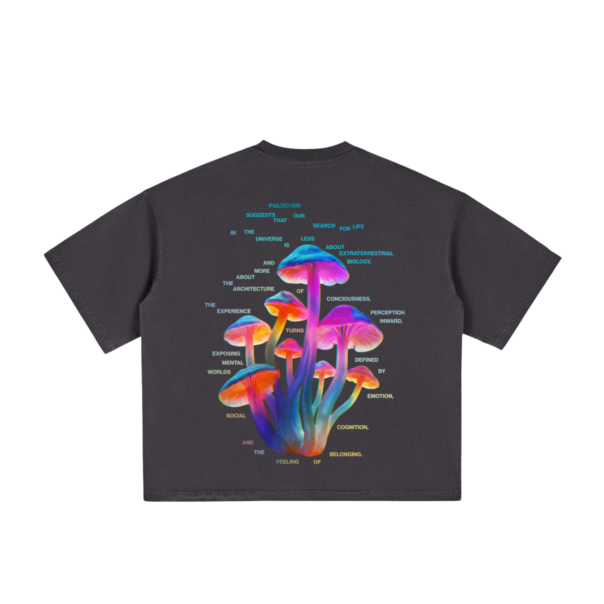 Psilocybine | T-shirt Boxy Vintage Délavé