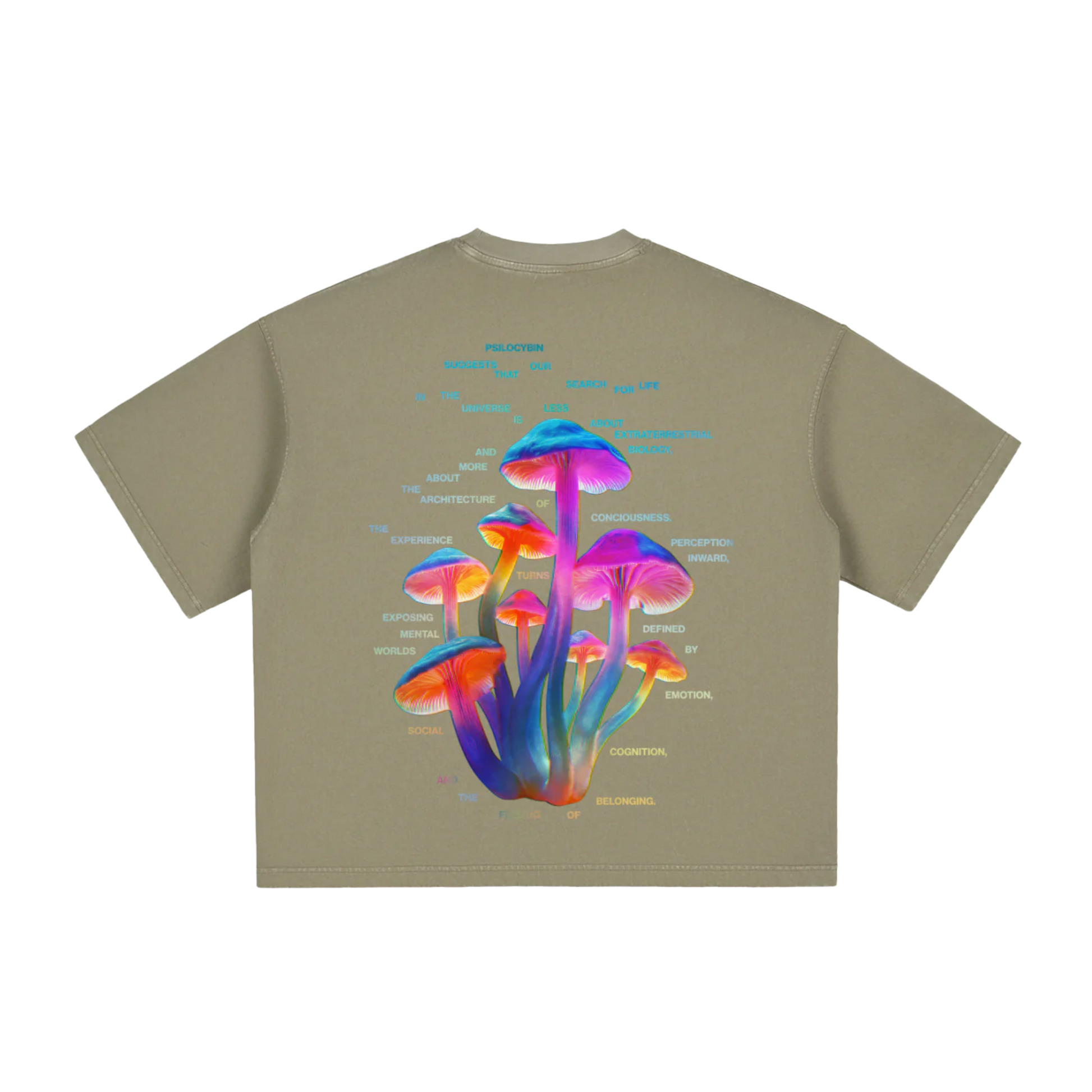 Psilocybin | Vintage Washed Boxy T-Shirt